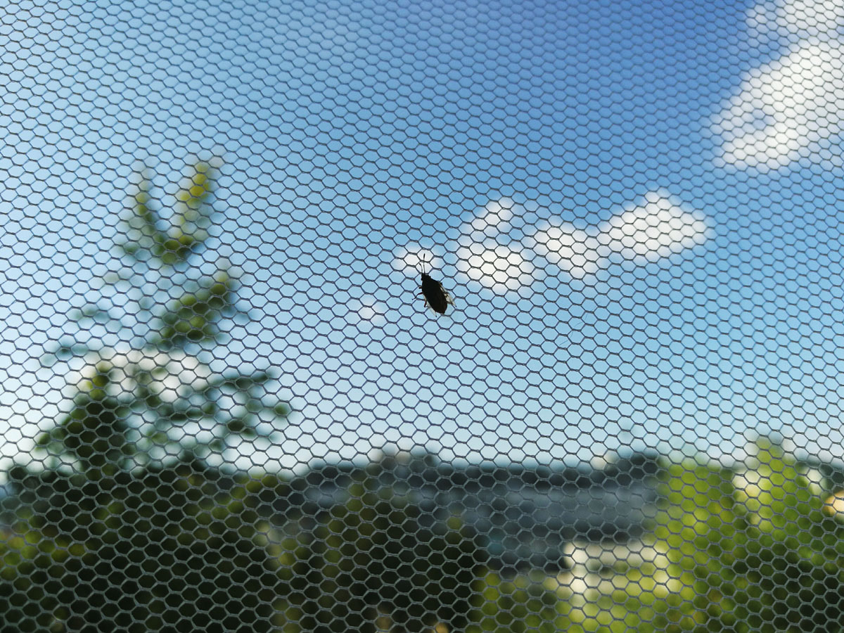 Filet anti-insecte