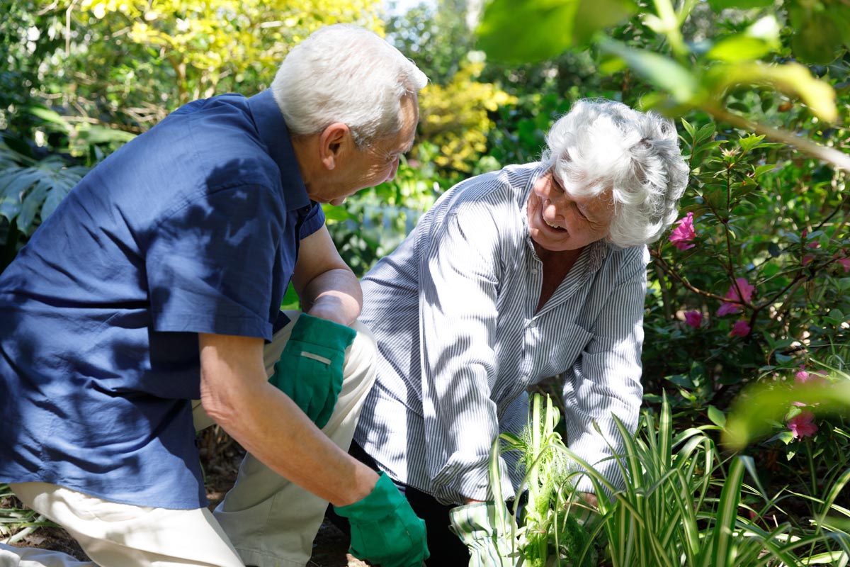 Jardinage Senior