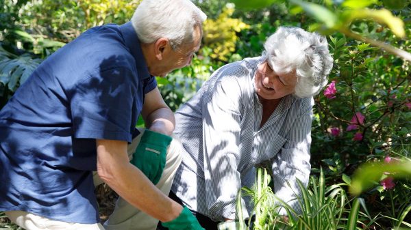 Jardinage Senior