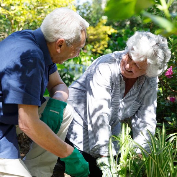 Jardinage Senior