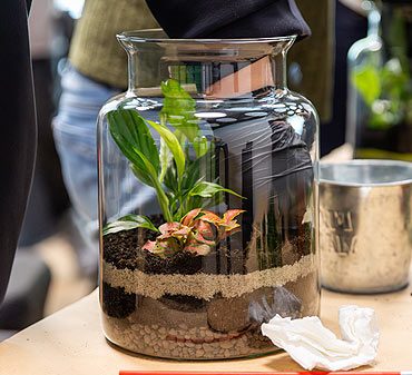 allier biodiversité et entretien dans votre jardin