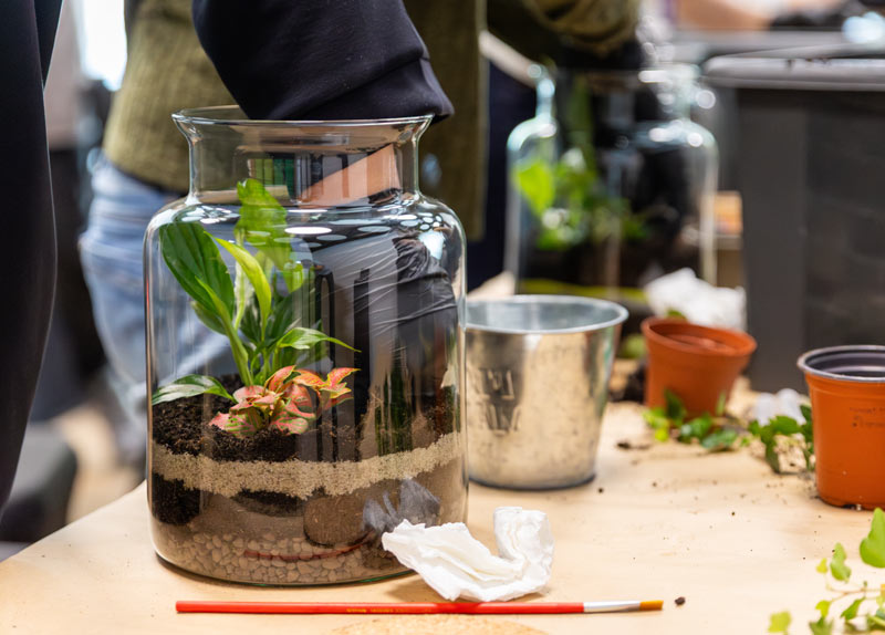 allier biodiversité et entretien dans votre jardin