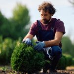 différence entre un paysagiste et un jardinier