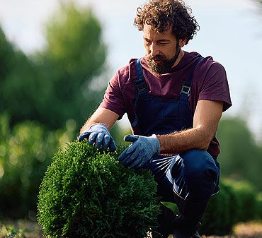 différence entre un paysagiste et un jardinier