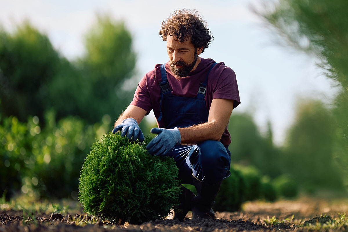 différence entre un paysagiste et un jardinier