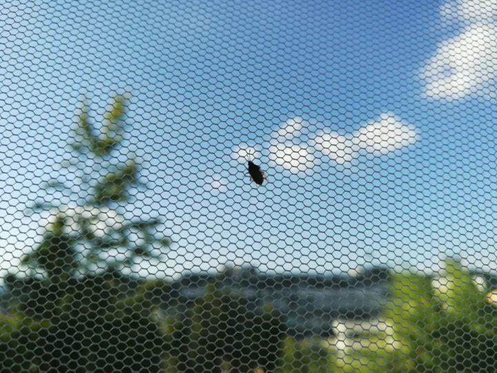 Filet anti-insecte