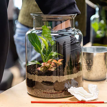 allier biodiversité et entretien dans votre jardin